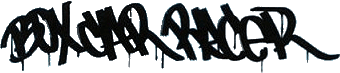 Click here for the official Box Car Racer website
